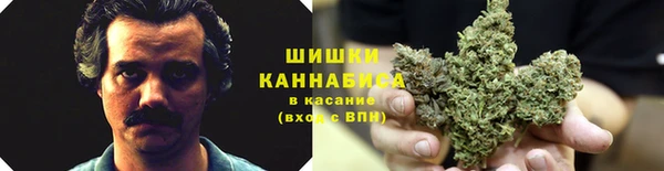 СК Надым