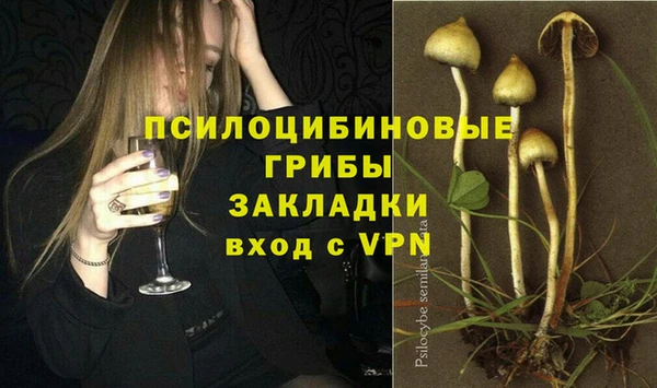 индика Баксан