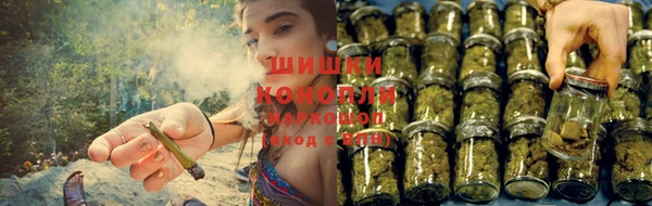 СК Надым