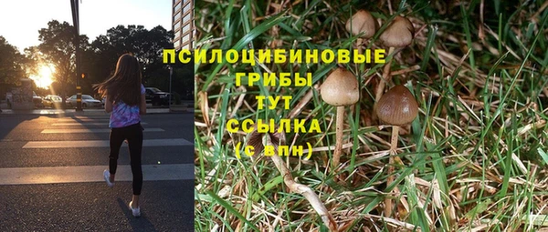 дурь Михайлов