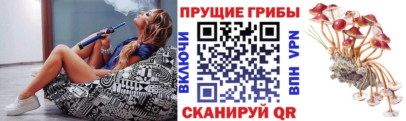 Псилоцибиновые грибы Cubensis  где продают наркотики  Казань 