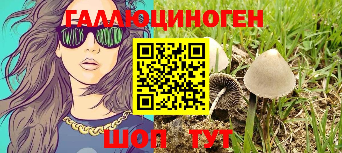 Казань  Галлюциногенные грибы Magic Shrooms  Вход с VPN 