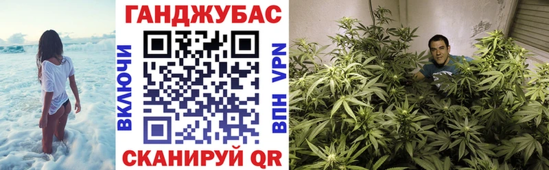 Канабис гибрид  нарко площадка какой сайт  Казань 